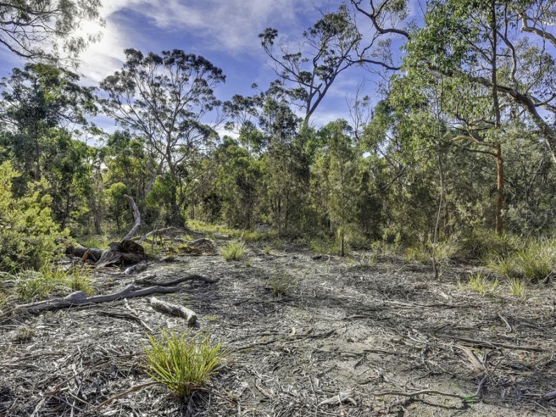 85 Skeggs Avenue, White Beach TAS 7184
