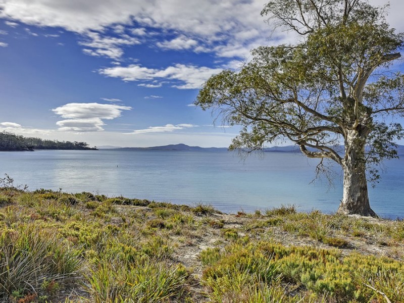 23 Turners Rd, Saltwater River TAS 7186