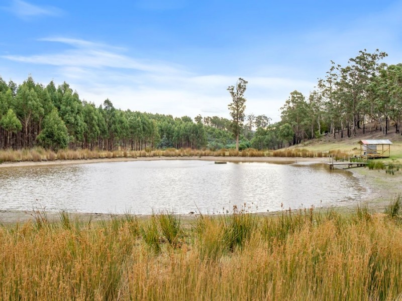 438 Wiggins Road, Wattle Hill TAS 7172