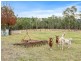 438 Wiggins Road, Wattle Hill TAS 7172