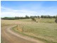 438 Wiggins Road, Wattle Hill TAS 7172