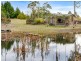 438 Wiggins Road, Wattle Hill TAS 7172