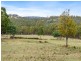 438 Wiggins Road, Wattle Hill TAS 7172