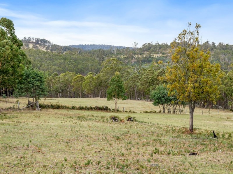 438 Wiggins Road, Wattle Hill TAS 7172