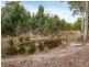 438 Wiggins Road, Wattle Hill TAS 7172