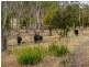 438 Wiggins Road, Wattle Hill TAS 7172