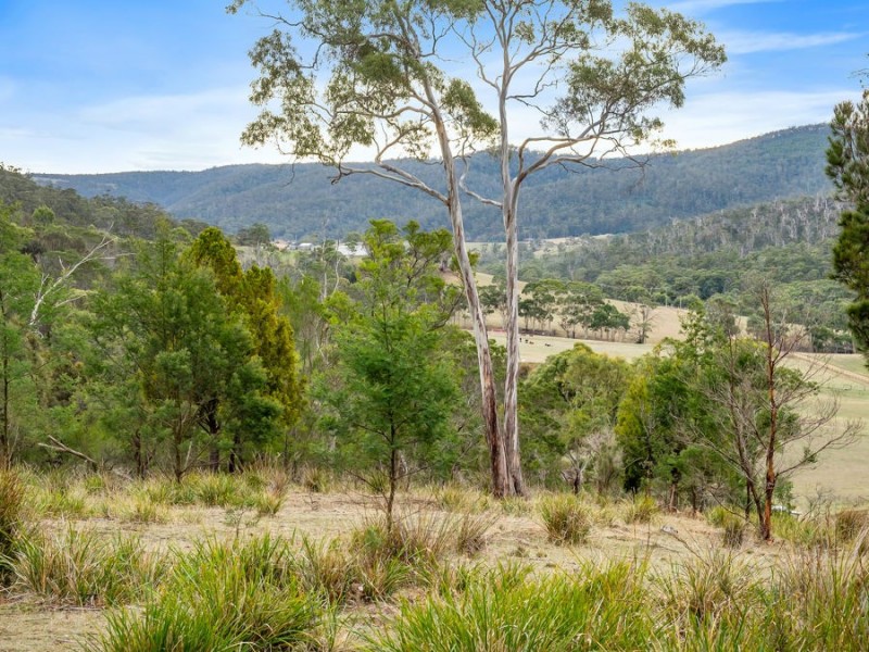 438 Wiggins Road, Wattle Hill TAS 7172