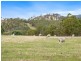 438 Wiggins Road, Wattle Hill TAS 7172