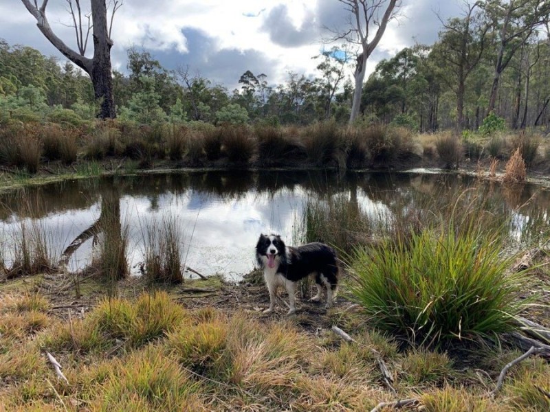 Grices Road, Tea Tree TAS 7017