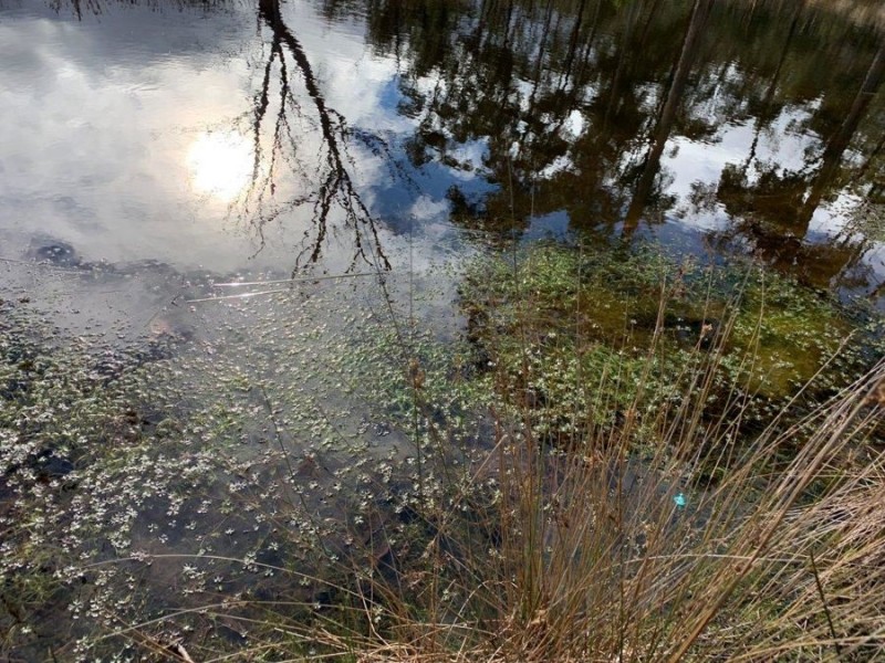 Grices Road, Tea Tree TAS 7017