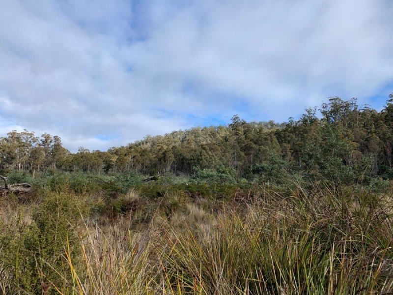 Grices Road, Tea Tree TAS 7017