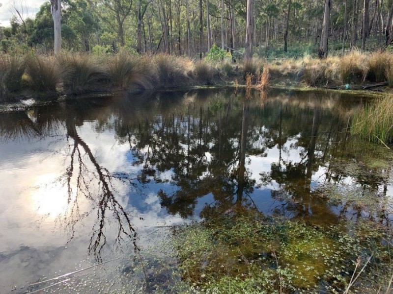 Grices Road, Tea Tree TAS 7017