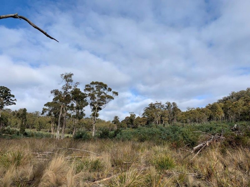 Grices Road, Tea Tree TAS 7017