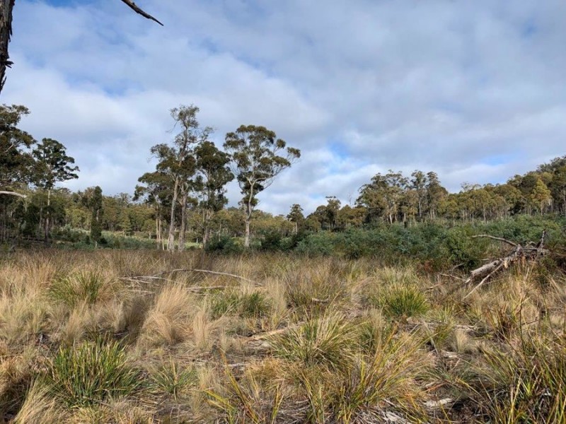 Grices Road, Tea Tree TAS 7017