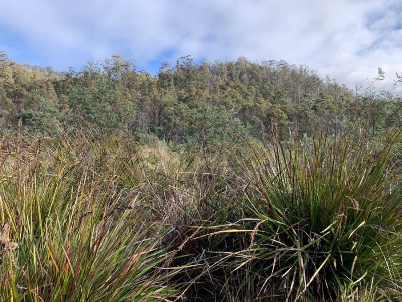 Grices Road, Tea Tree TAS 7017
