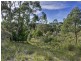 46 Ferntree Road, Eaglehawk Neck TAS 7179
