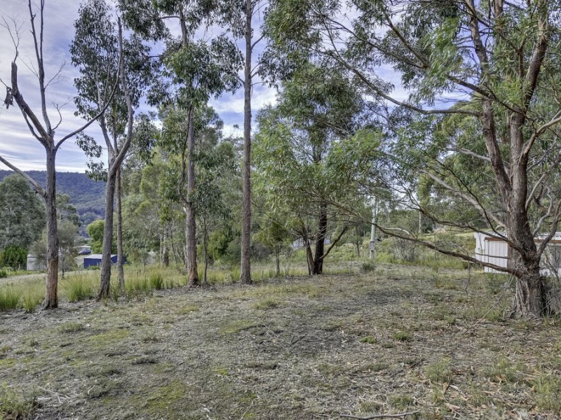 46 Ferntree Road, Eaglehawk Neck TAS 7179
