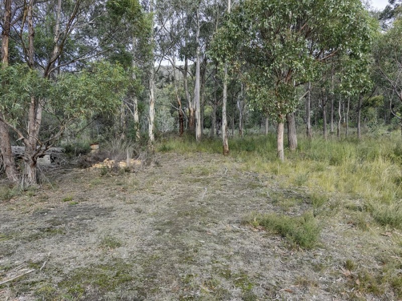 46 Ferntree Road, Eaglehawk Neck TAS 7179