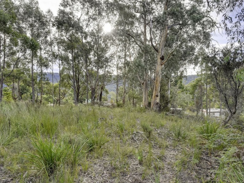 46 Ferntree Road, Eaglehawk Neck TAS 7179