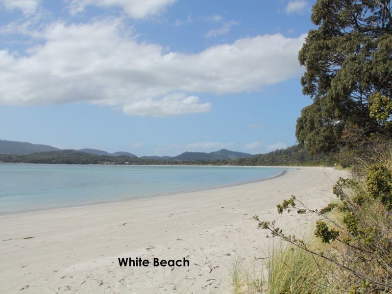 309 White Beach Road, White Beach TAS 7184