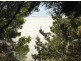 309 White Beach Road, White Beach TAS 7184