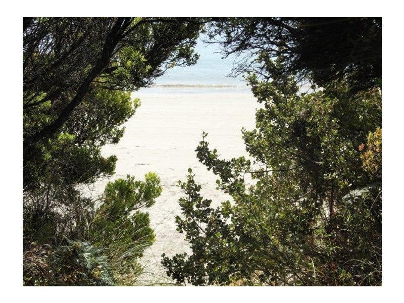 309 White Beach Road, White Beach TAS 7184