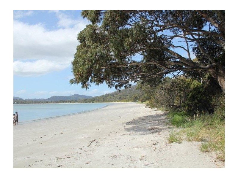 309 White Beach Road, White Beach TAS 7184