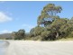 309 White Beach Road, White Beach TAS 7184