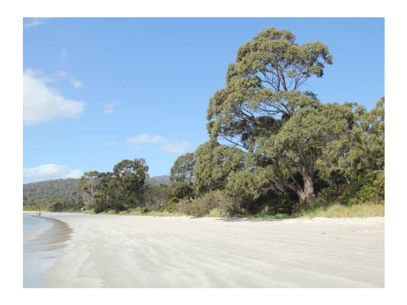 309 White Beach Road, White Beach TAS 7184
