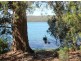 6827b Arthur Highway, Port Arthur TAS 7182