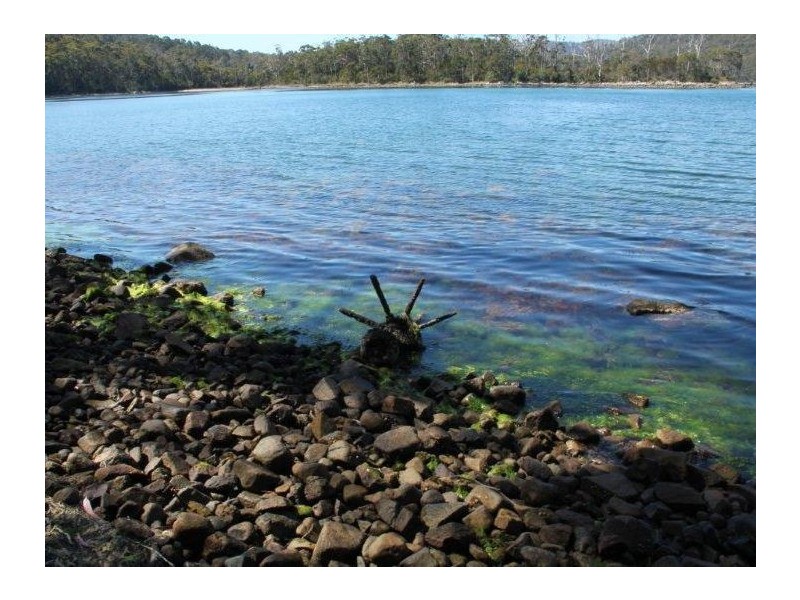 6827b Arthur Highway, Port Arthur TAS 7182