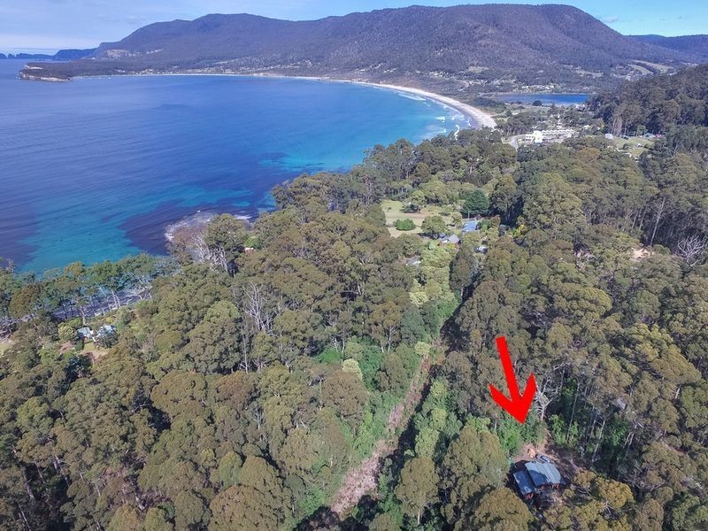 311 Pirates Bay Drive, Eaglehawk Neck TAS 7179