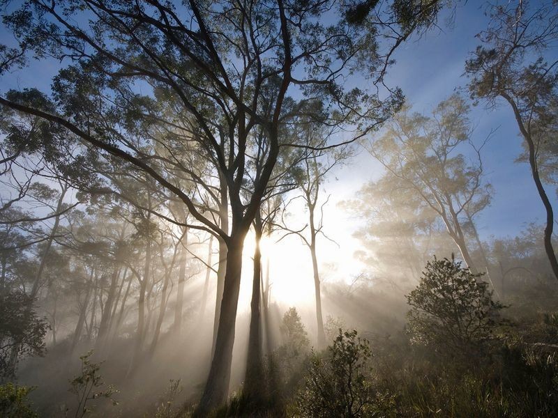 136 Nubeena Road, Taranna TAS 7180