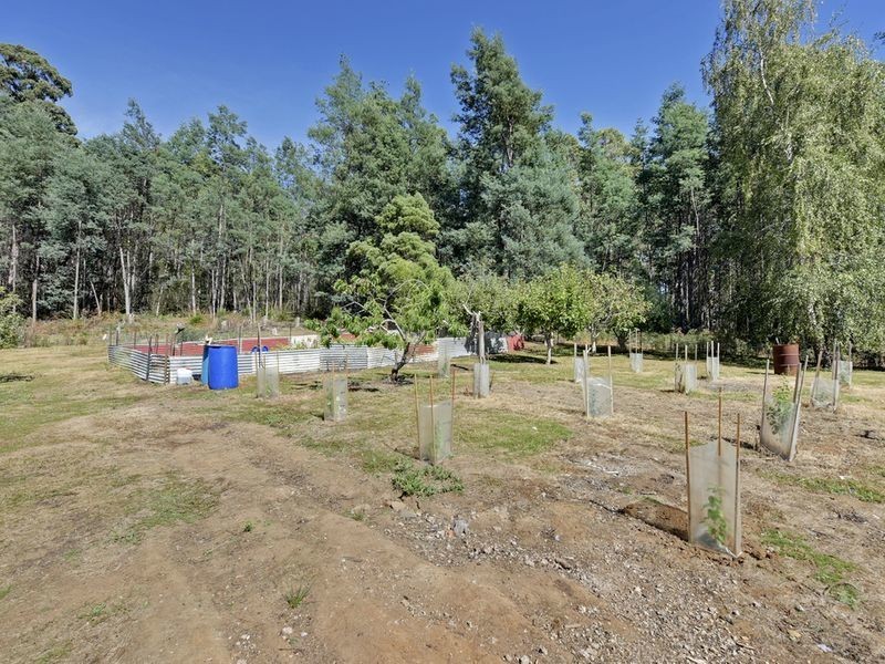 6429 Arthur Highway, Port Arthur TAS 7182