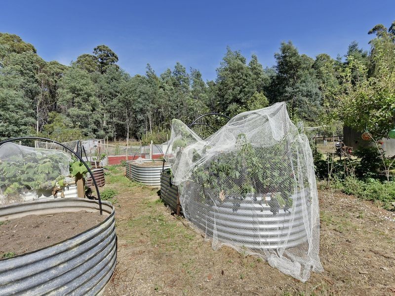 6429 Arthur Highway, Port Arthur TAS 7182