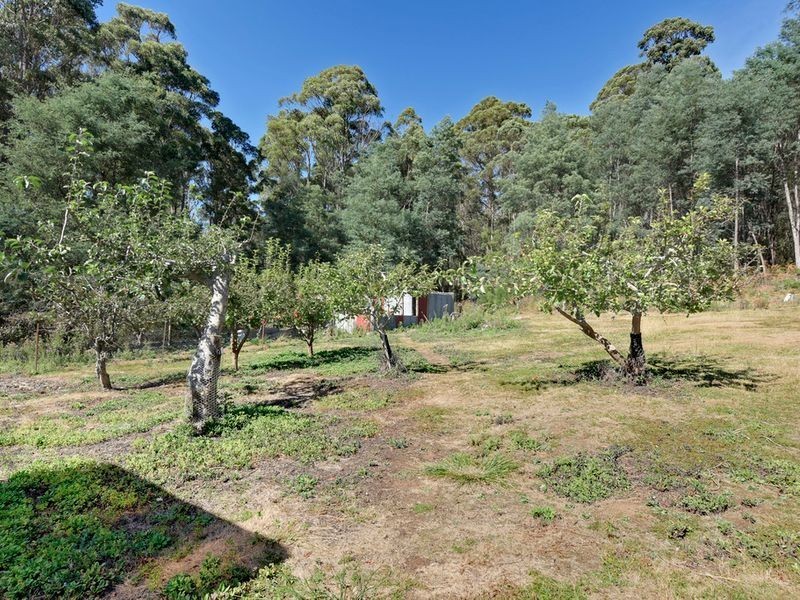 6429 Arthur Highway, Port Arthur TAS 7182