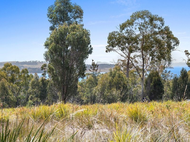 110 Happy Valley Road, Spring Beach TAS 7190