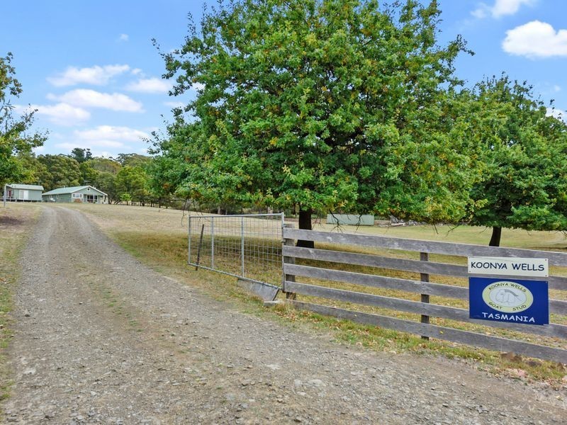 547 Nubeena Road, Koonya TAS 7187