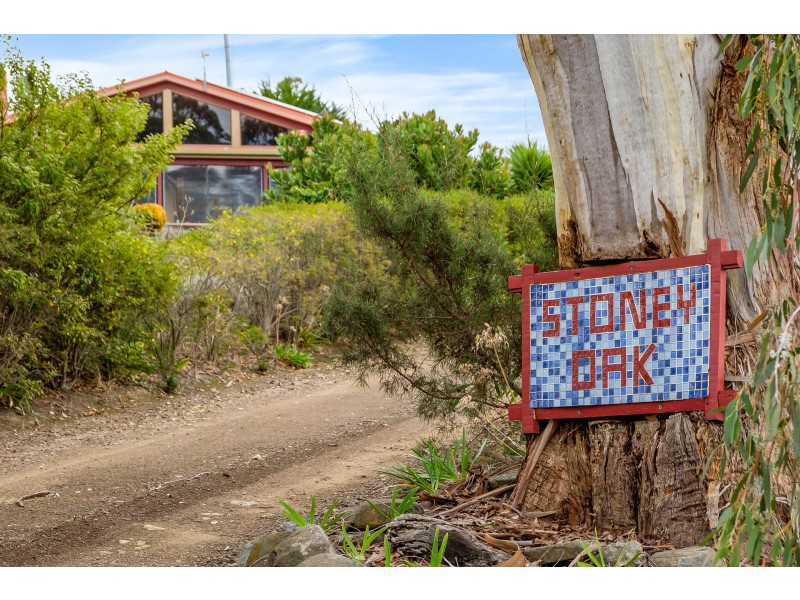 438 Wiggins Road, Wattle Hill TAS 7172