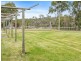 438 Wiggins Road, Wattle Hill TAS 7172