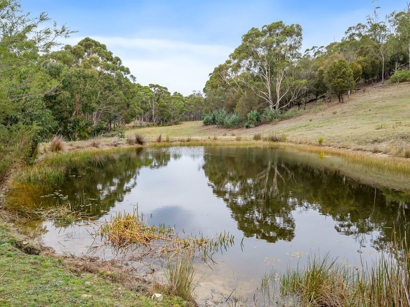 438 Wiggins Road, Wattle Hill TAS 7172