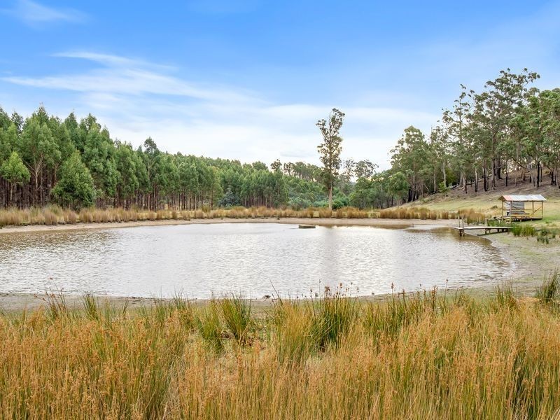 438 Wiggins Road, Wattle Hill TAS 7172