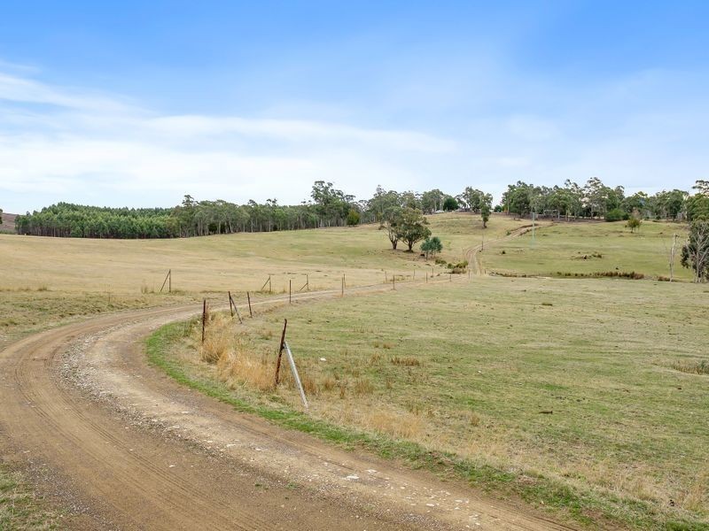 438 Wiggins Road, Wattle Hill TAS 7172