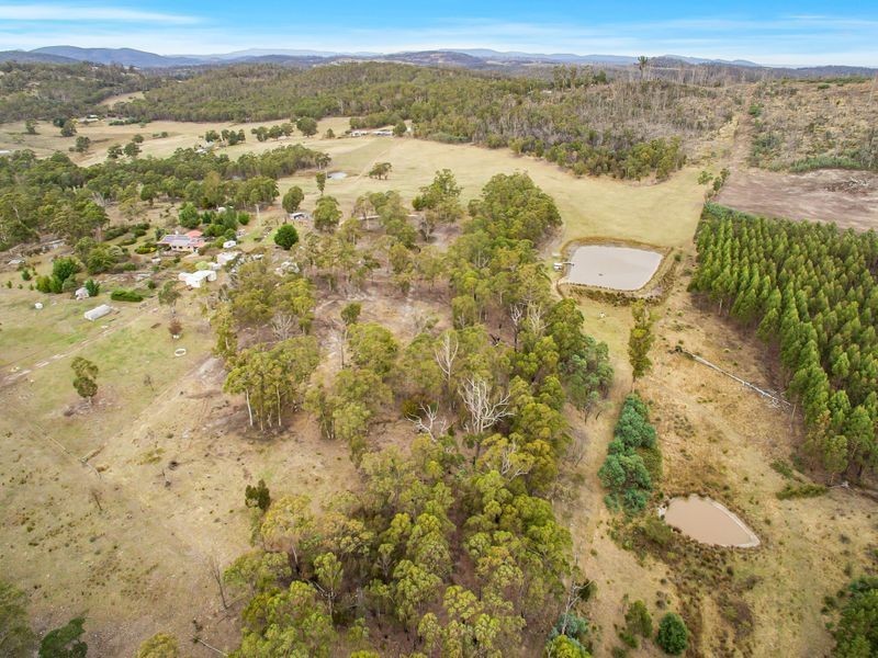 438 Wiggins Road, Wattle Hill TAS 7172