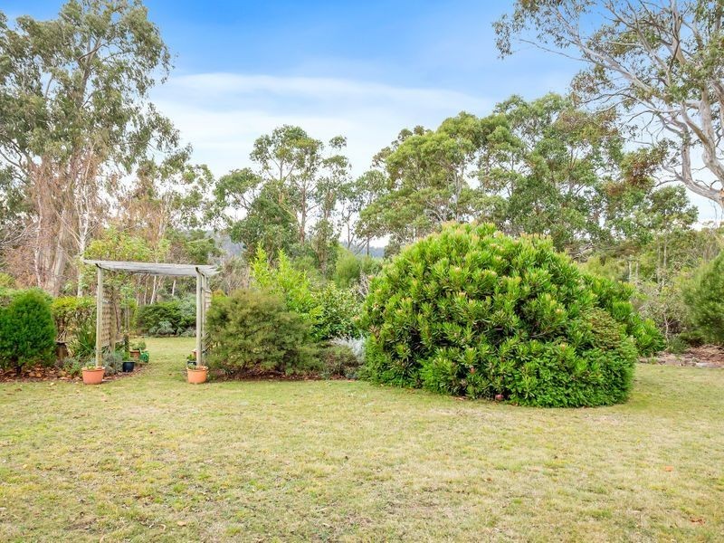 438 Wiggins Road, Wattle Hill TAS 7172