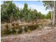 438 Wiggins Road, Wattle Hill TAS 7172