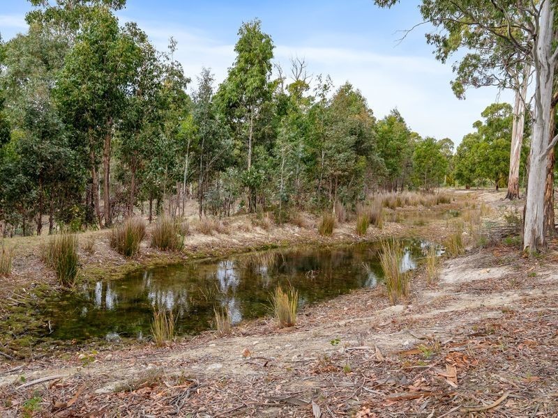 438 Wiggins Road, Wattle Hill TAS 7172