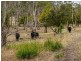 438 Wiggins Road, Wattle Hill TAS 7172