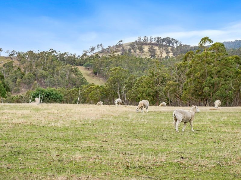 438 Wiggins Road, Wattle Hill TAS 7172