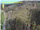 1936 Nubeena Road, Nubeena TAS 7184